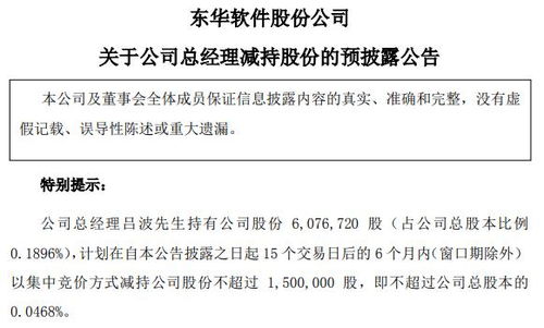 東華軟件總經理呂波擬減持不超過150萬股，信息系統集成服務行業前景引關注